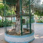 Sunberk سيدي